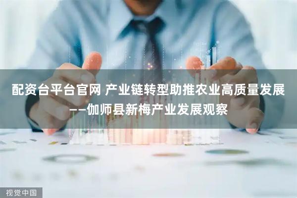 配资台平台官网 产业链转型助推农业高质量发展——伽师县新梅产业发展观察